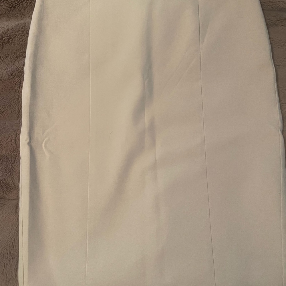 Ann Taylor Pencil Skirt